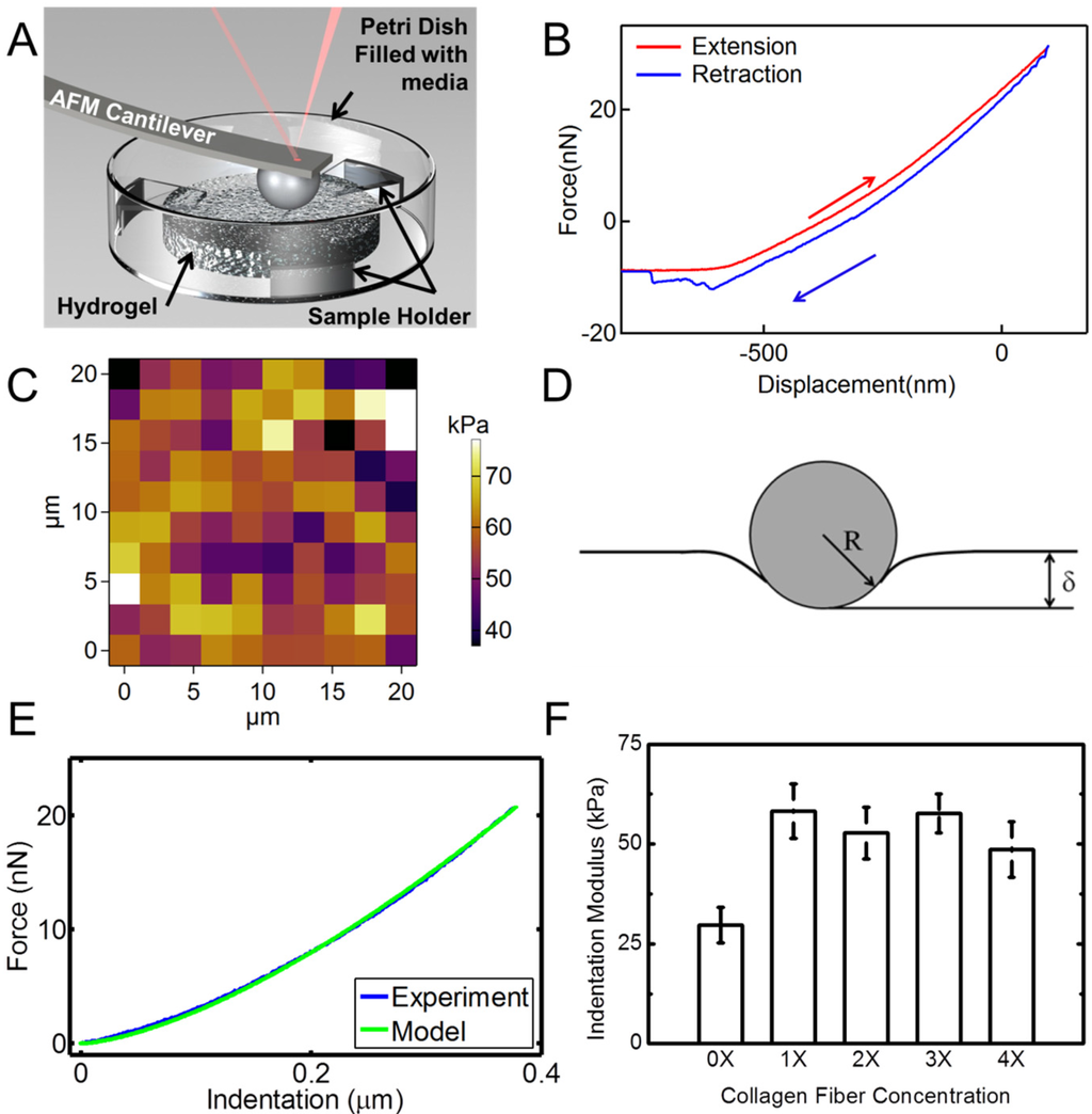 Materials 08 00799 g006 1024