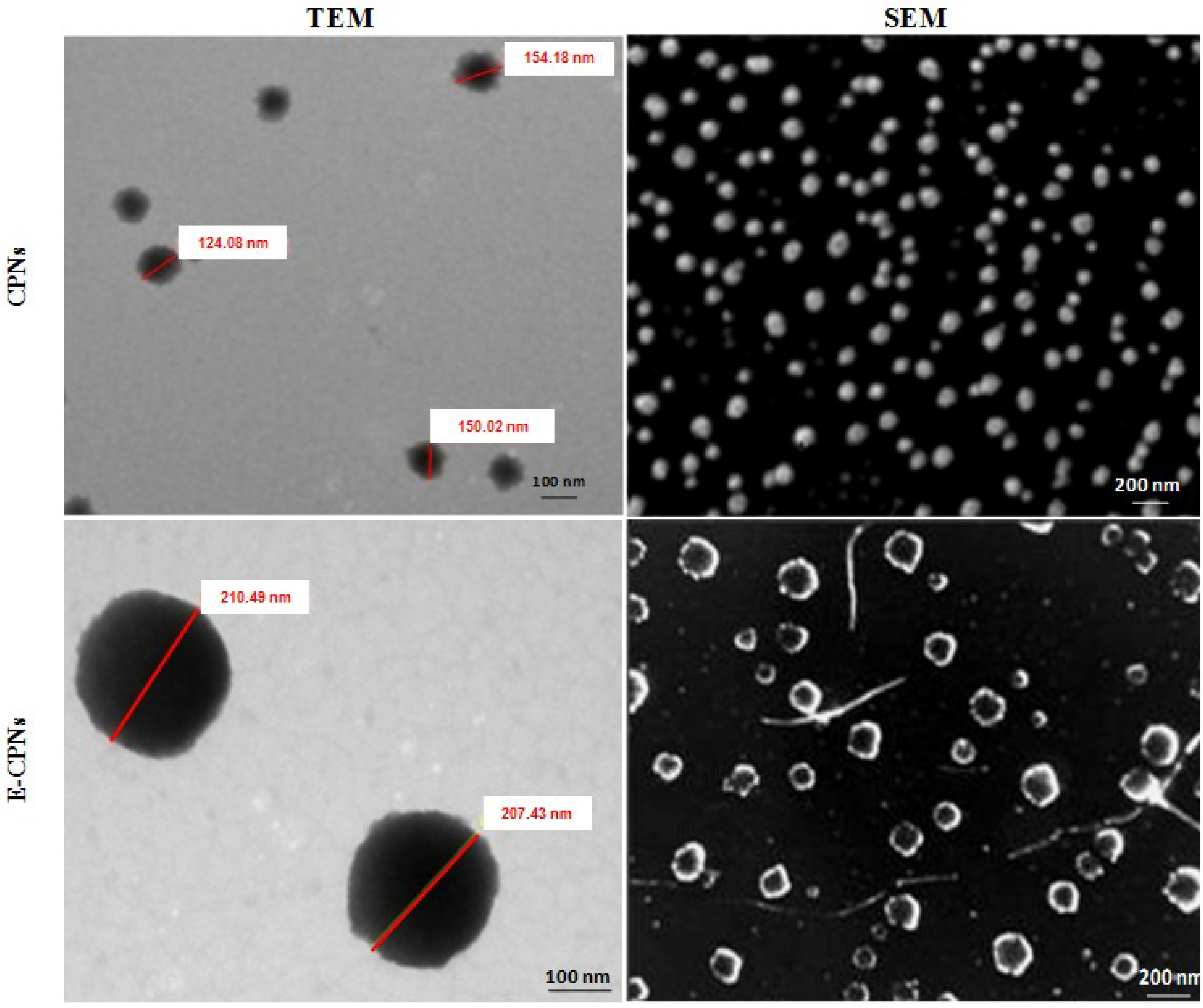 Materials 08 00832 g001