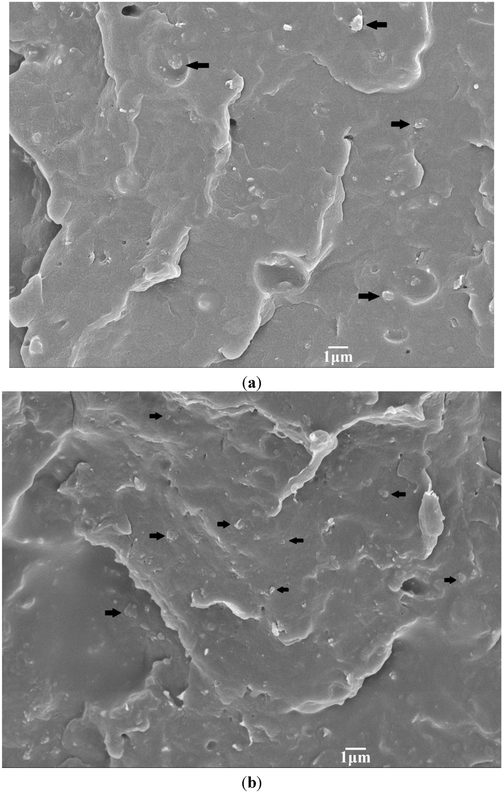 Materials 08 00992 g003 1024