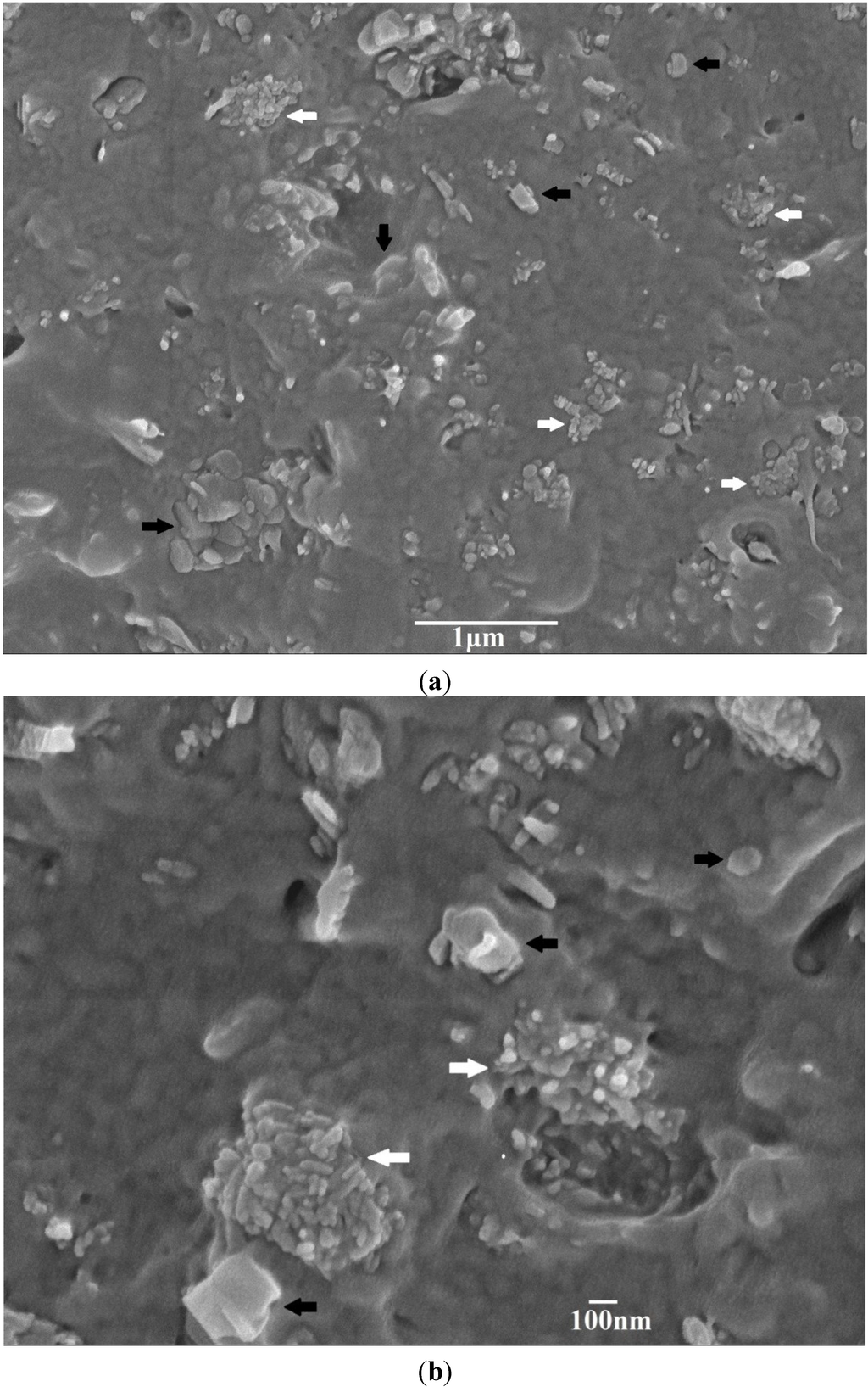 Materials 08 00992 g004 1024