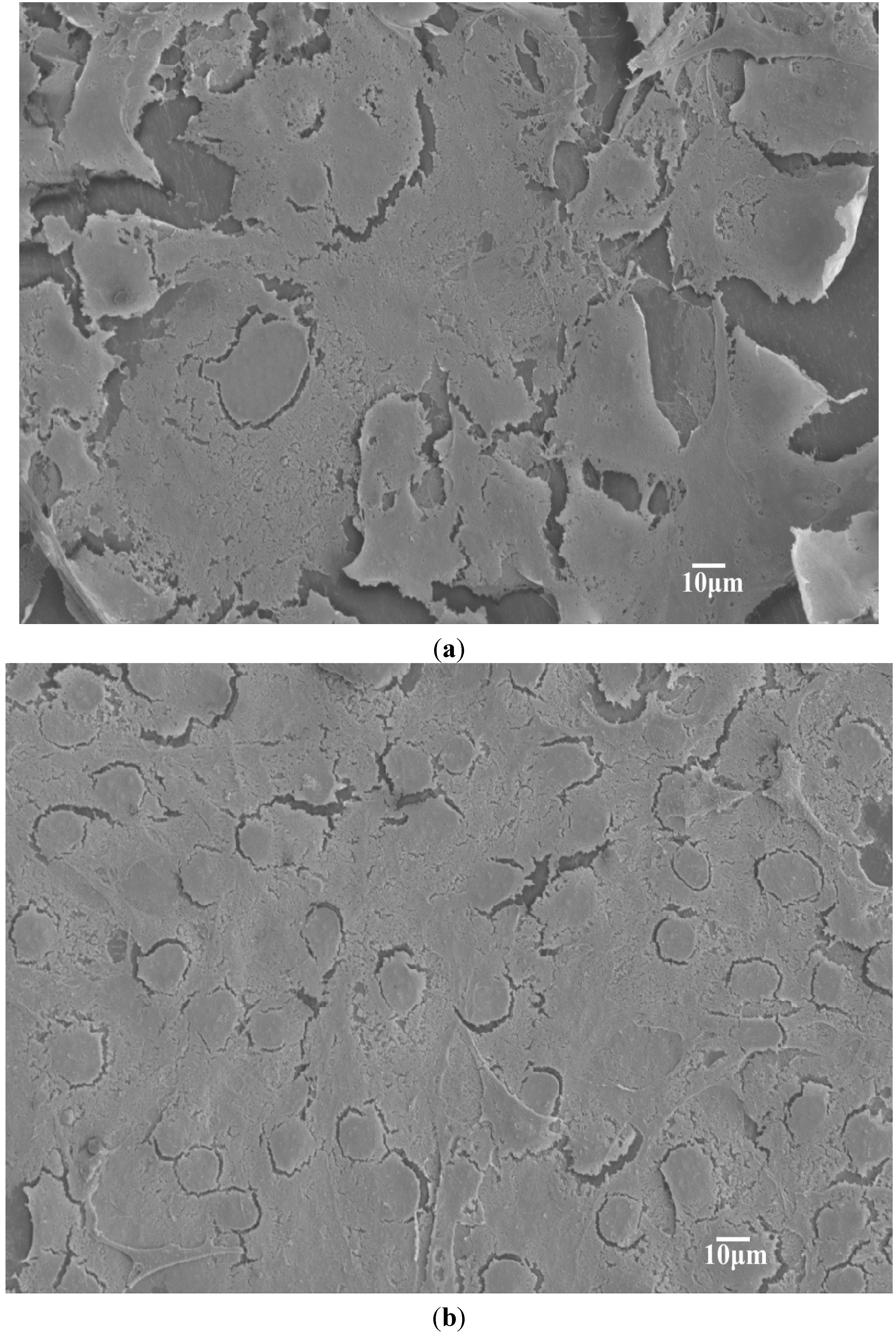 Materials 08 00992 g007