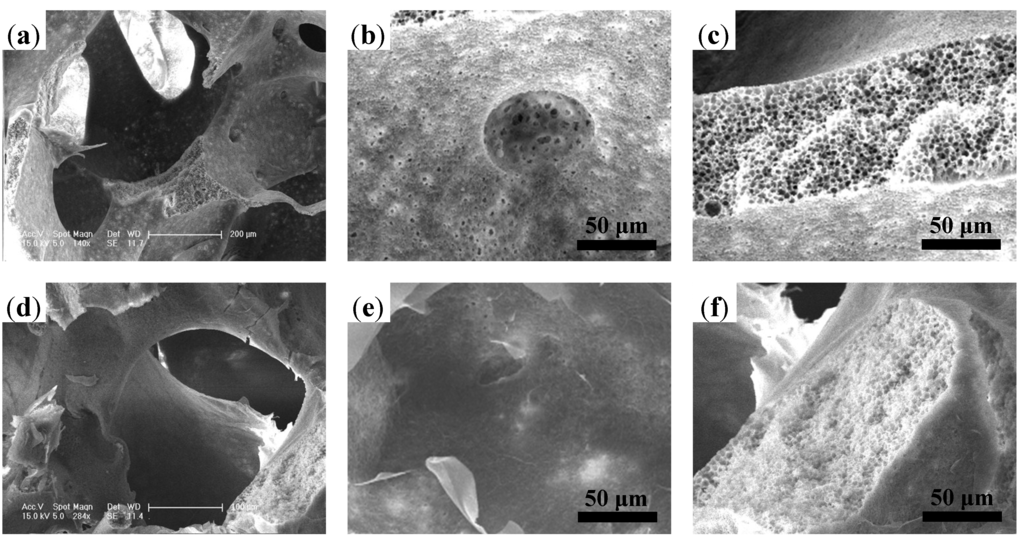 Materials 08 01009 g002 1024