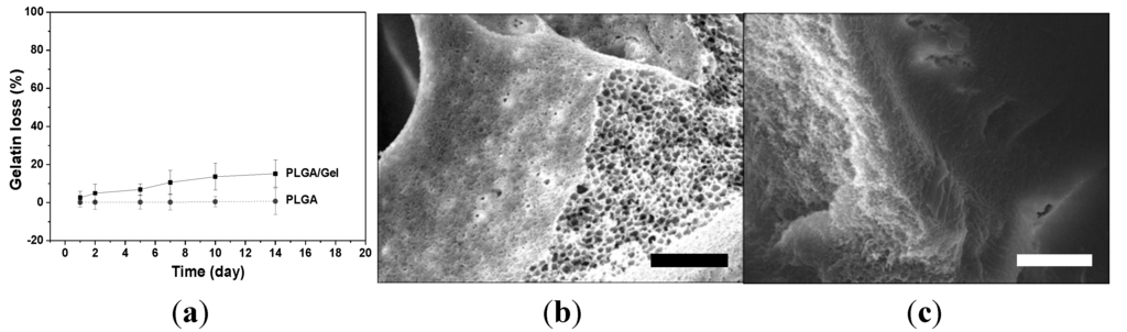 Materials 08 01009 g004 1024