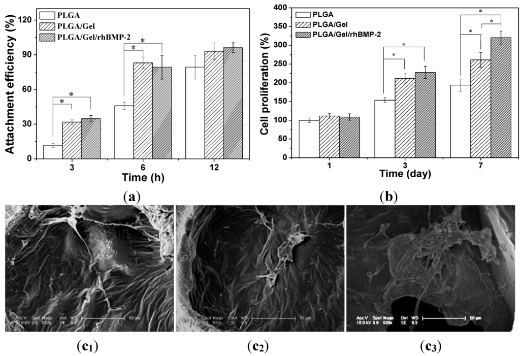Materials 08 01009 g008 1024
