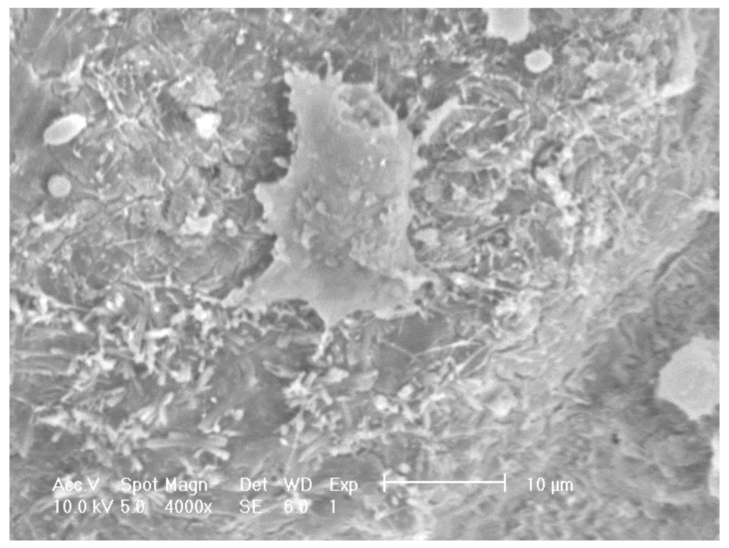 Materials 08 01074 g007 1024