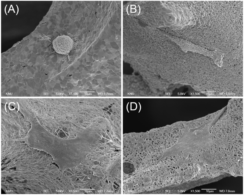 Materials 08 01150 g005 1024