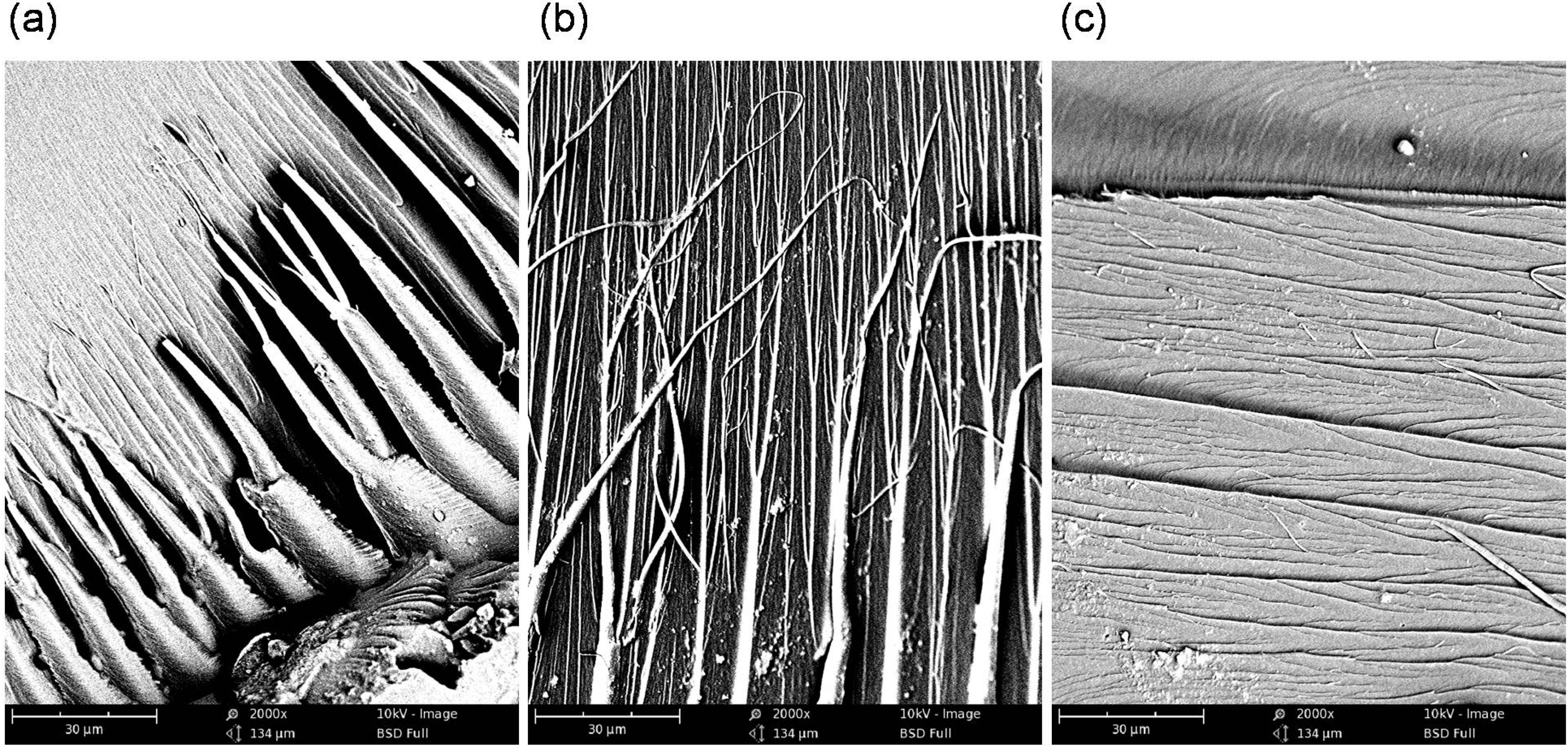 Materials 08 01230 g008