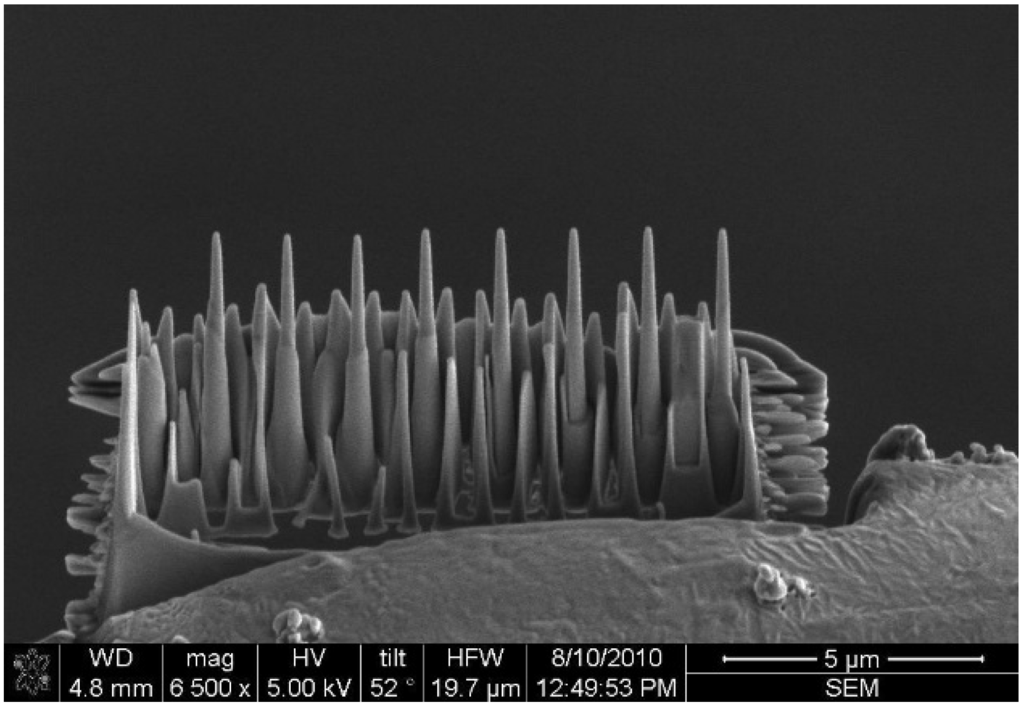 Materials 08 01831 g001 1024