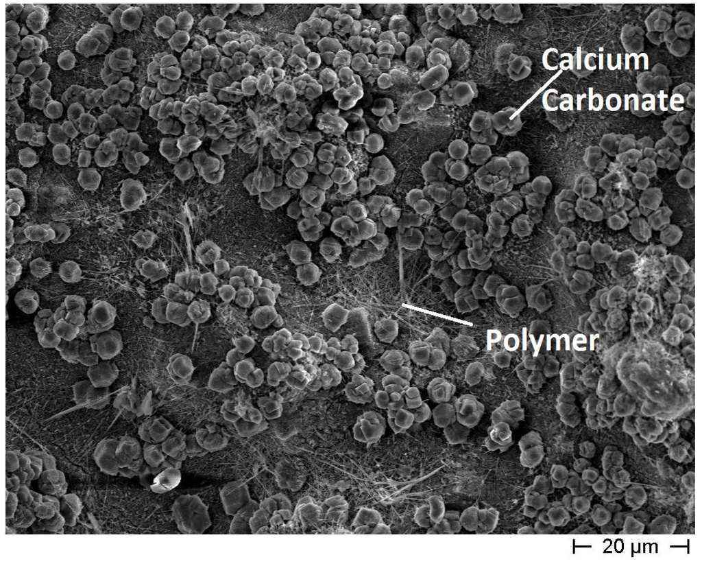 Materials 08 01897 g005 1024