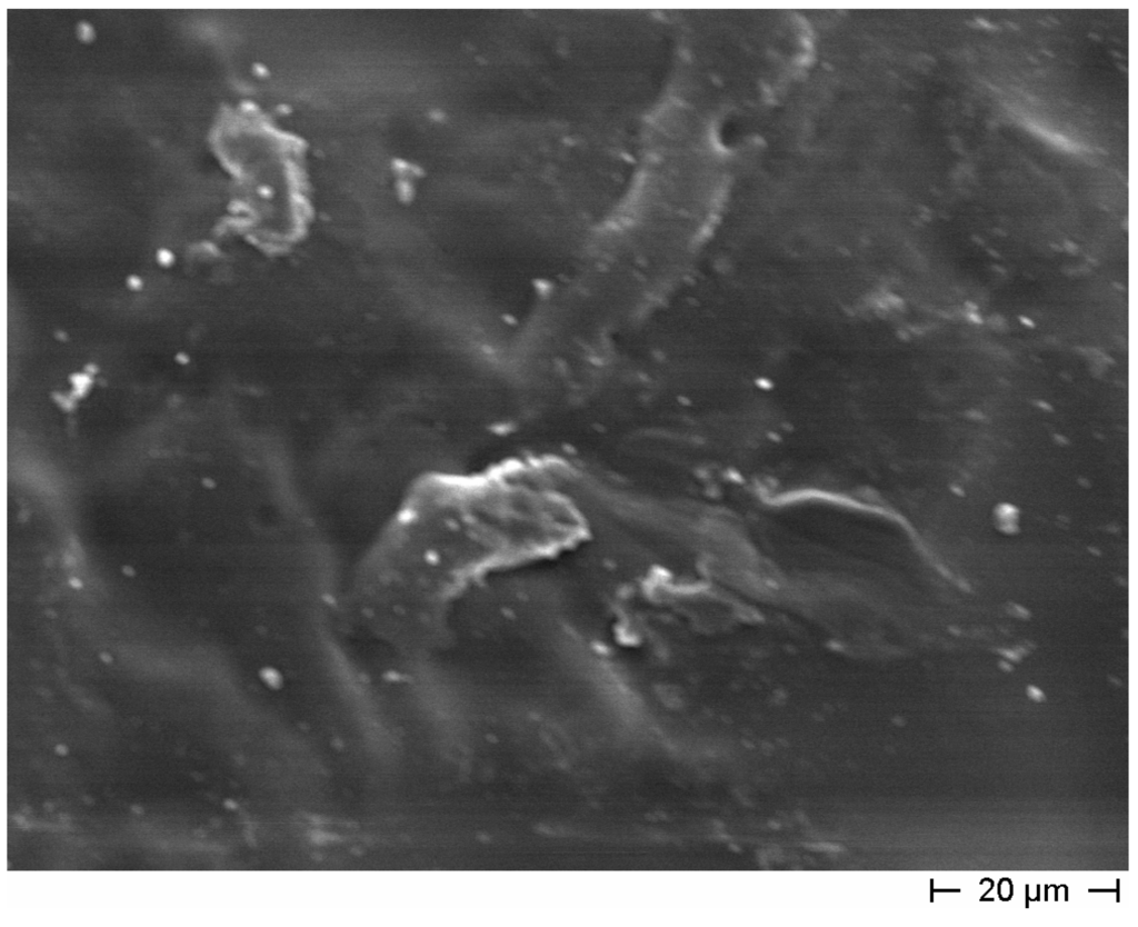 Materials 08 01897 g007 1024