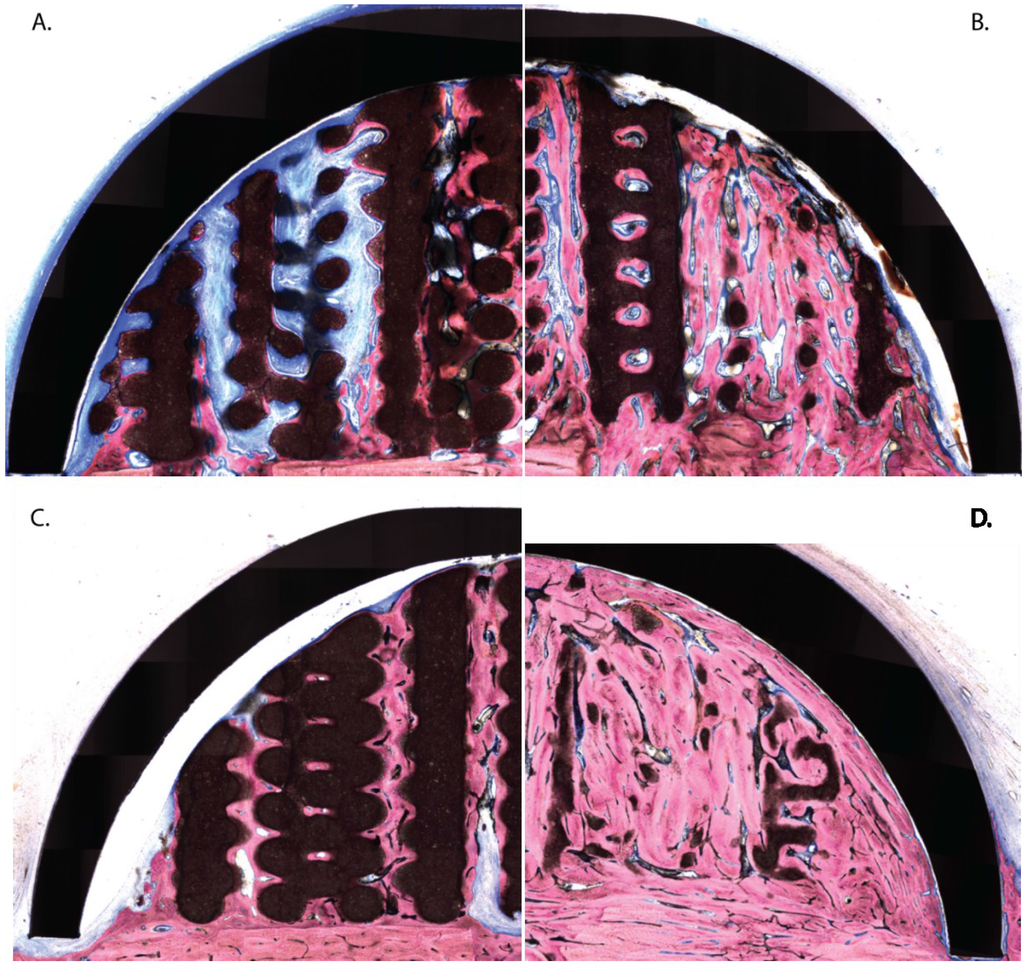 Materials 08 02174 g002 1024