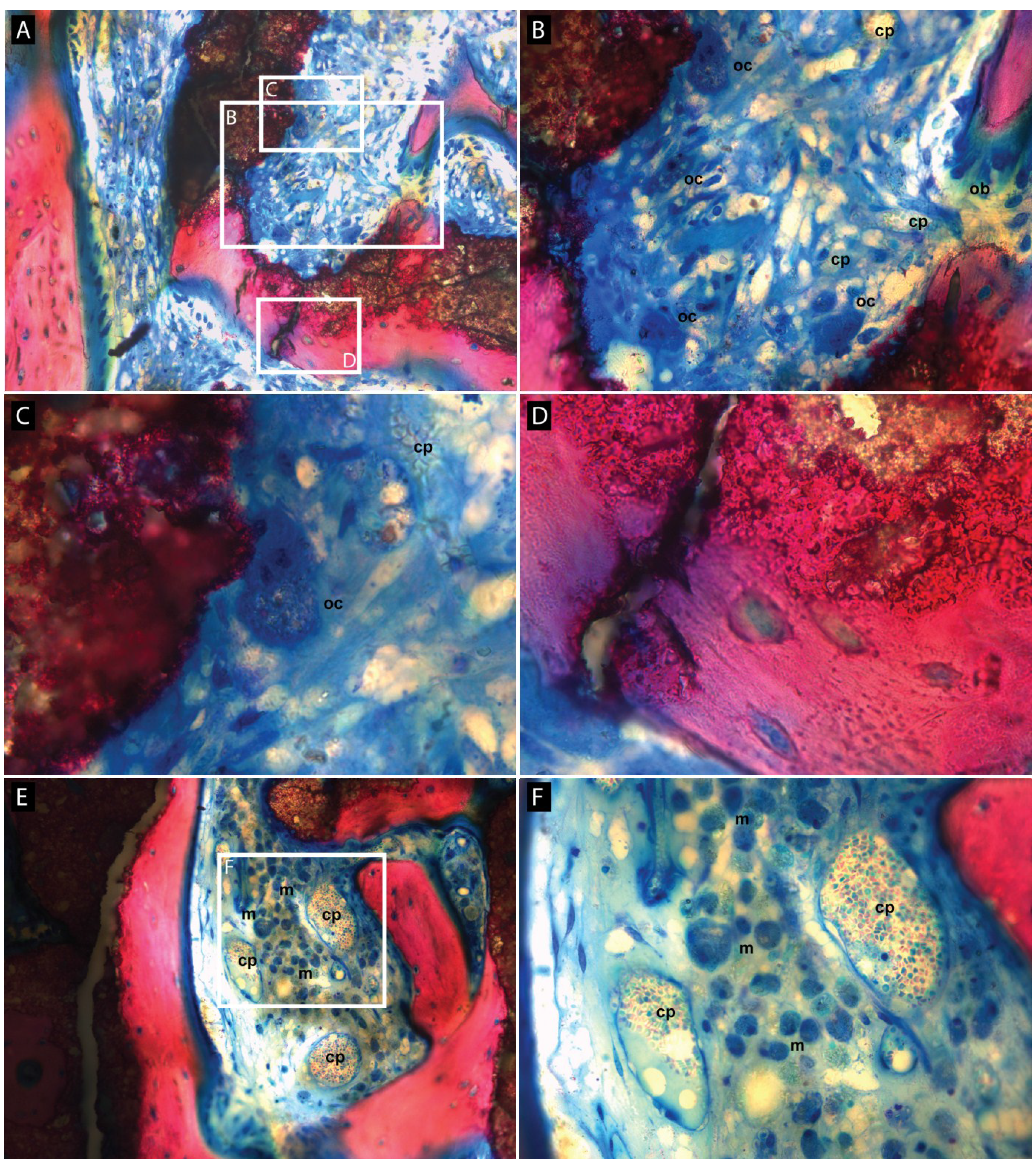 Materials 08 02174 g003