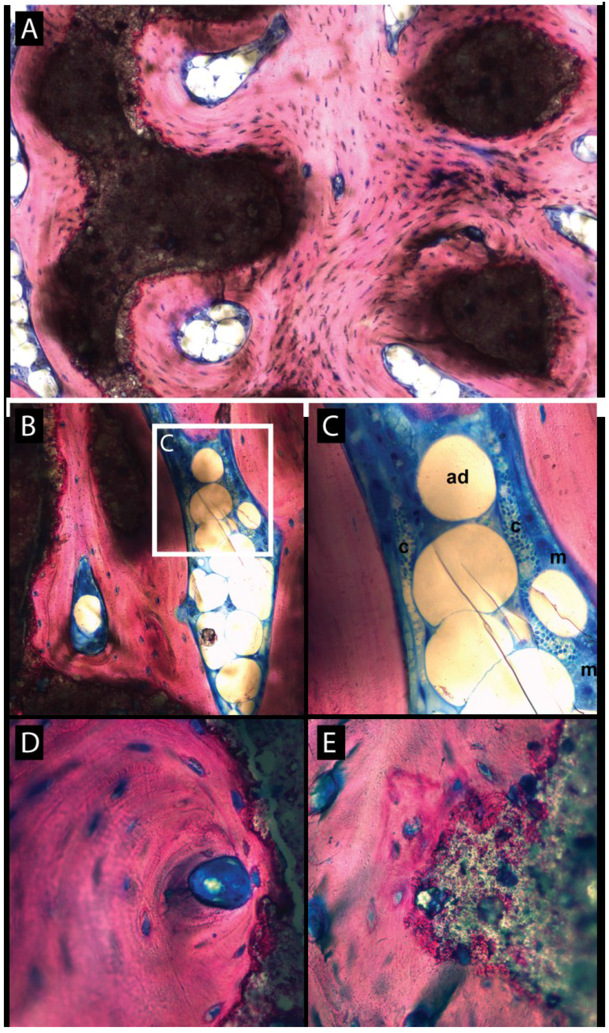Materials 08 02174 g004