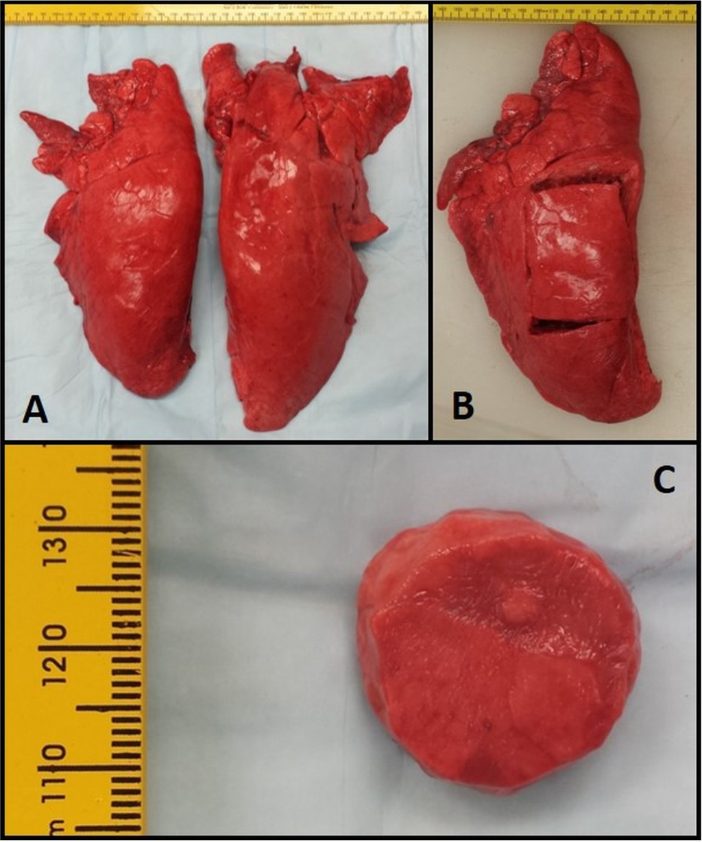 Materials 08 02454 g001 1024