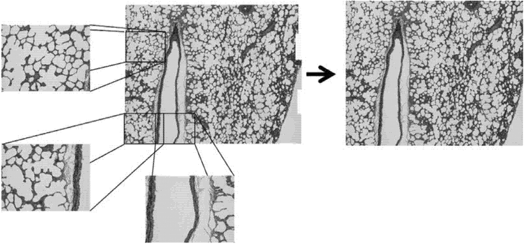 Materials 08 02454 g002 1024