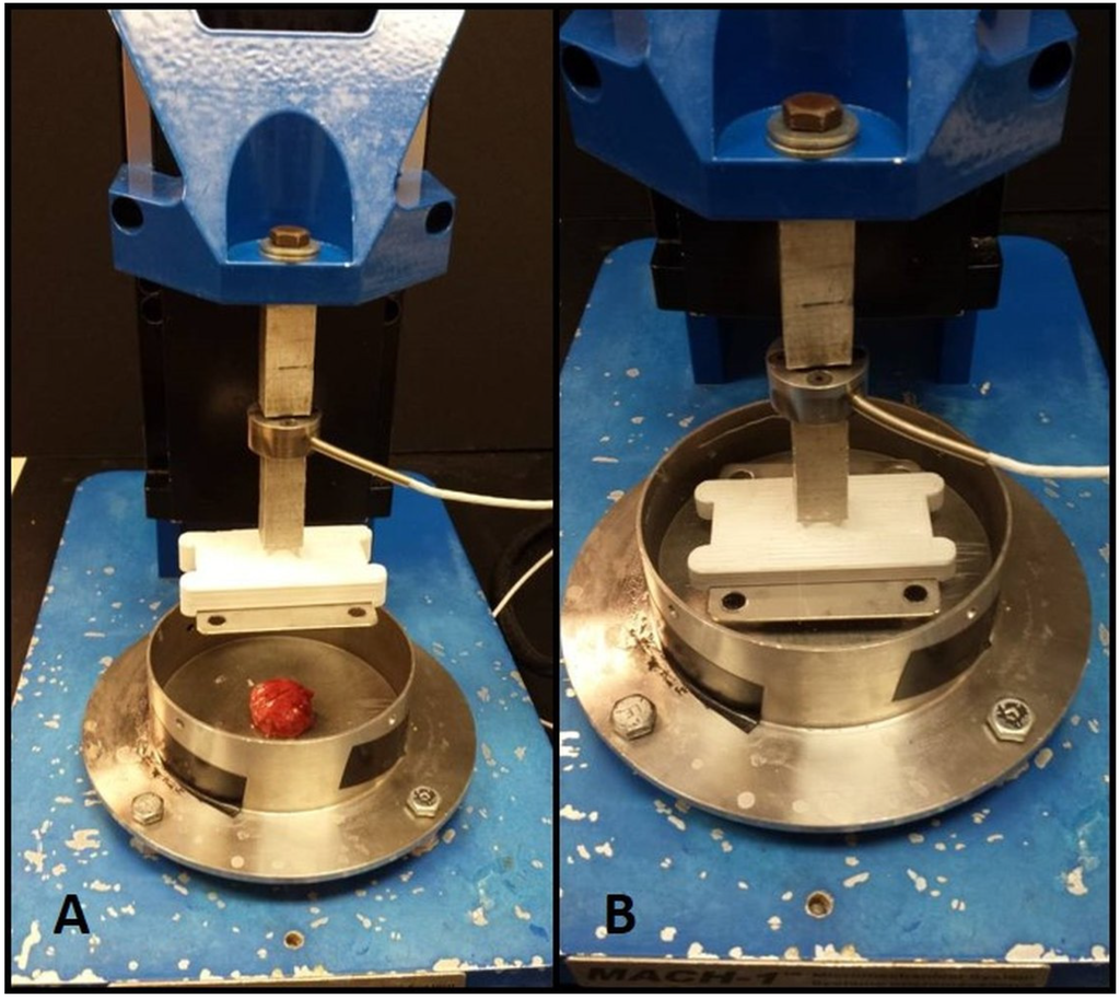 Materials 08 02454 g003 1024