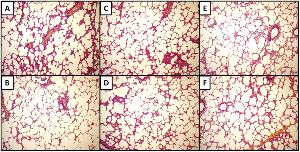 Materials 08 02454 g005 1024