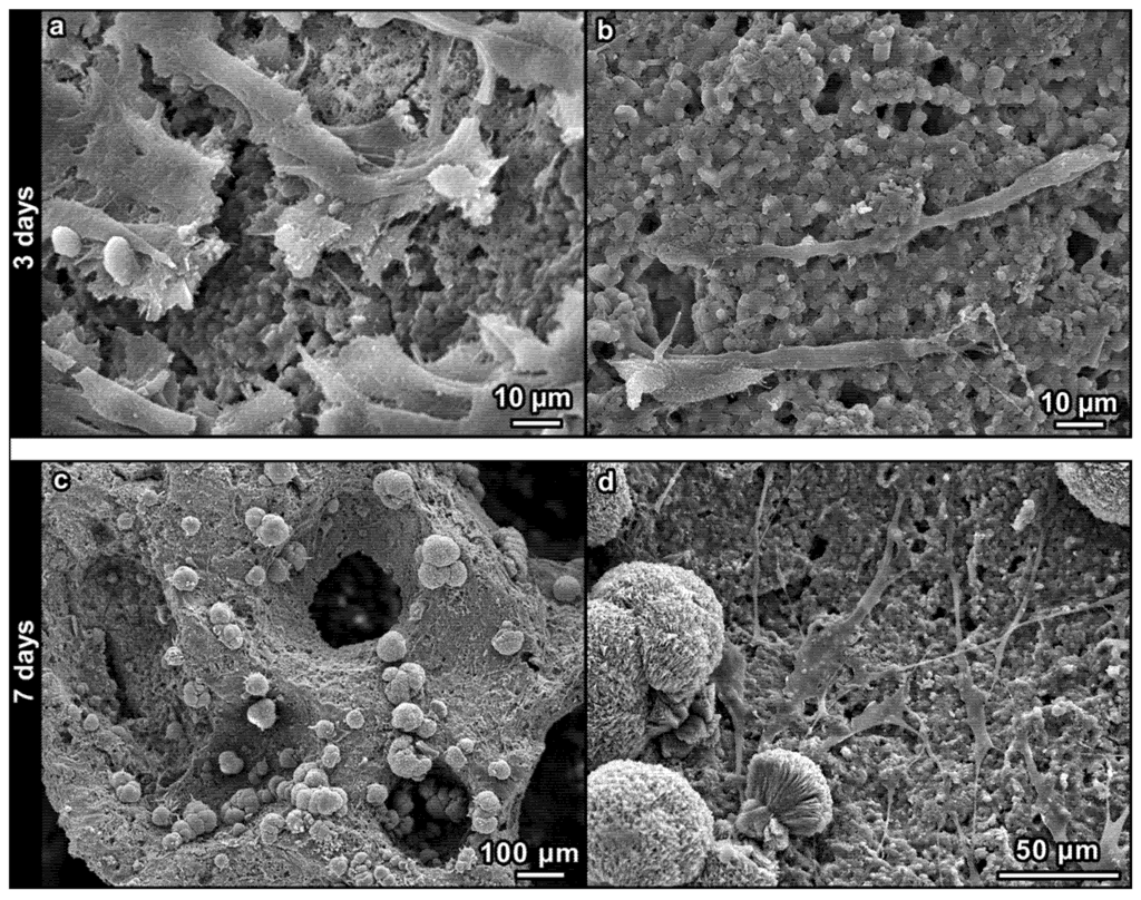 Materials 08 02480 g007 1024