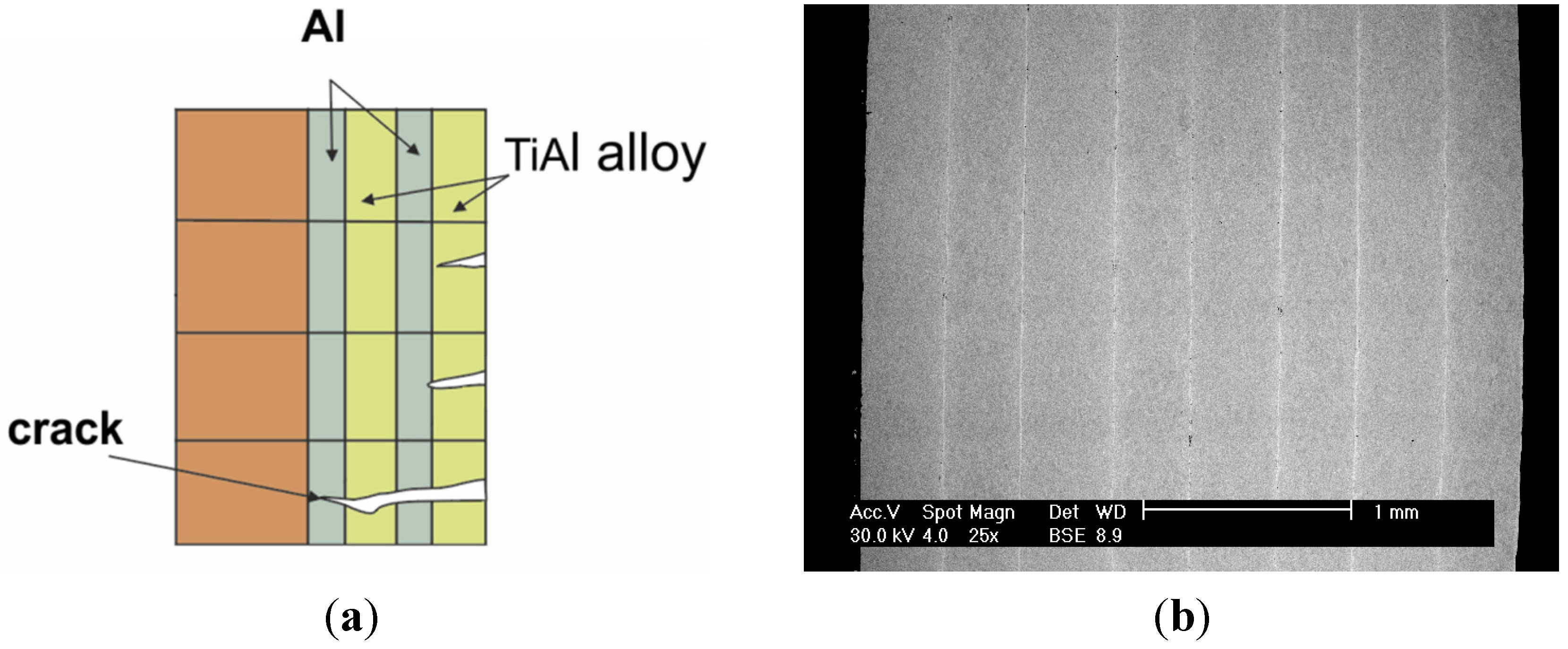 Materials 08 02537 g027a
