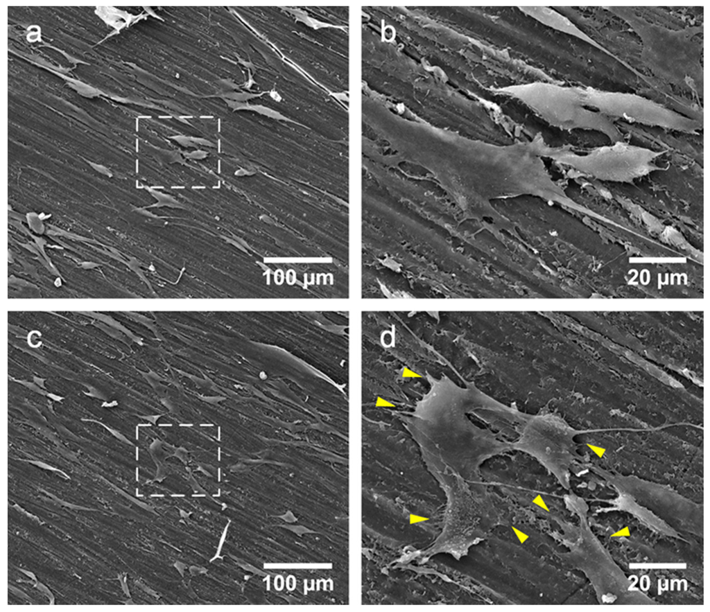 Materials 08 02616 g013 1024