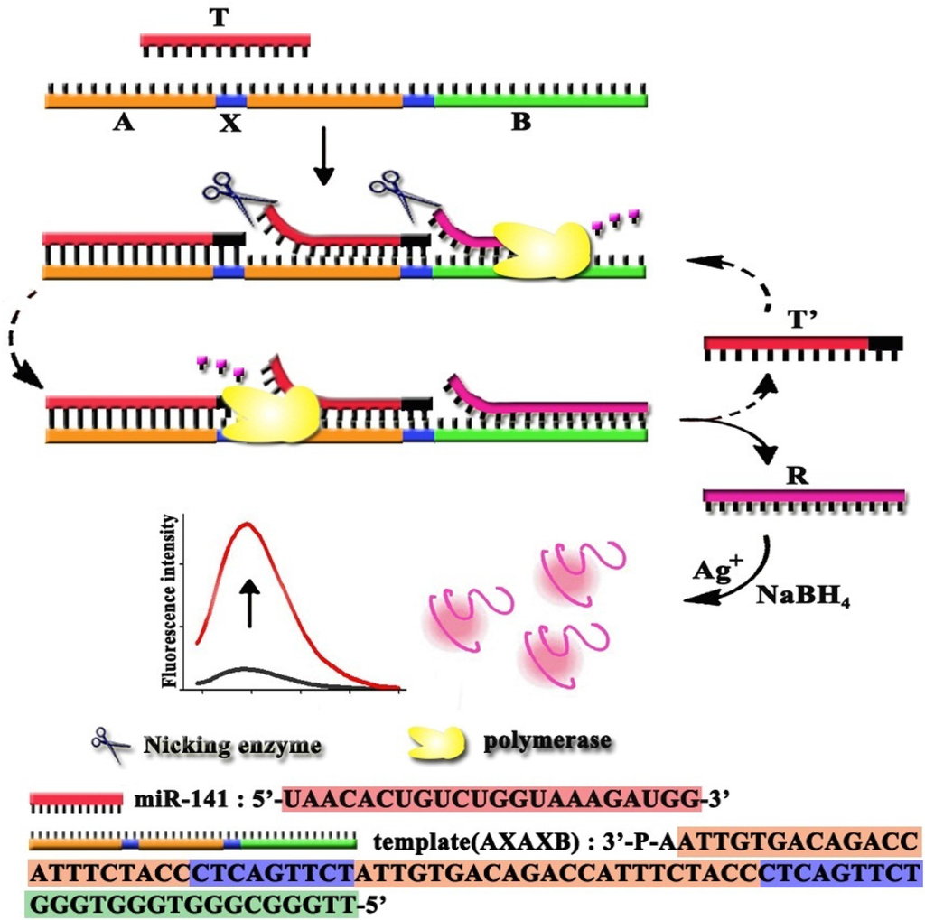 Materials 08 02809 g001 1024