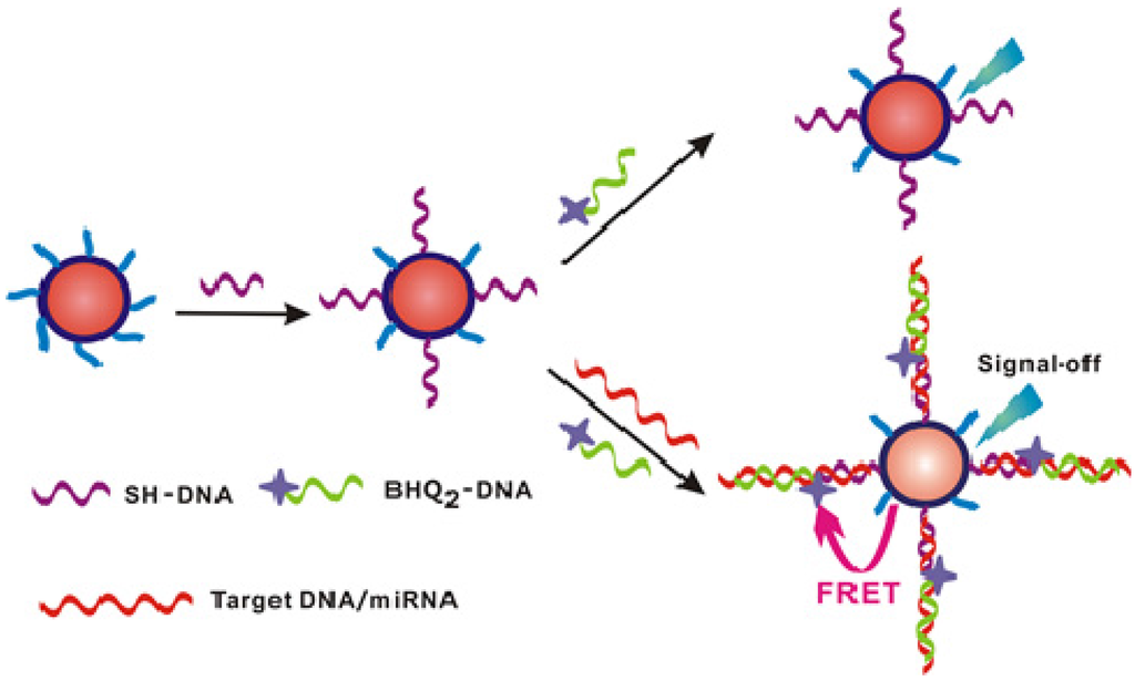 Materials 08 02809 g006 1024
