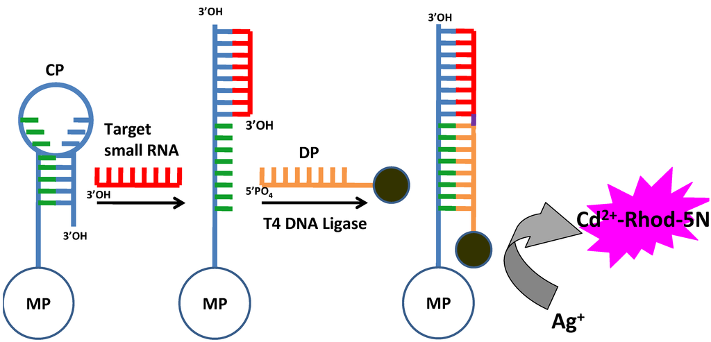Materials 08 02809 g007 1024