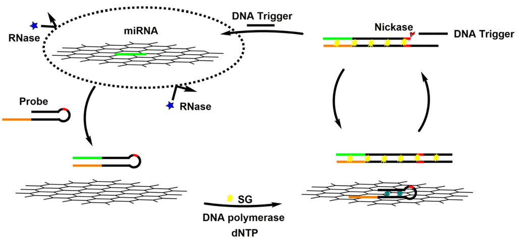Materials 08 02809 g011 1024