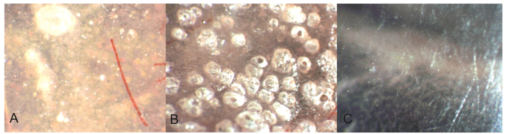 Materials 08 02887 g007 1024