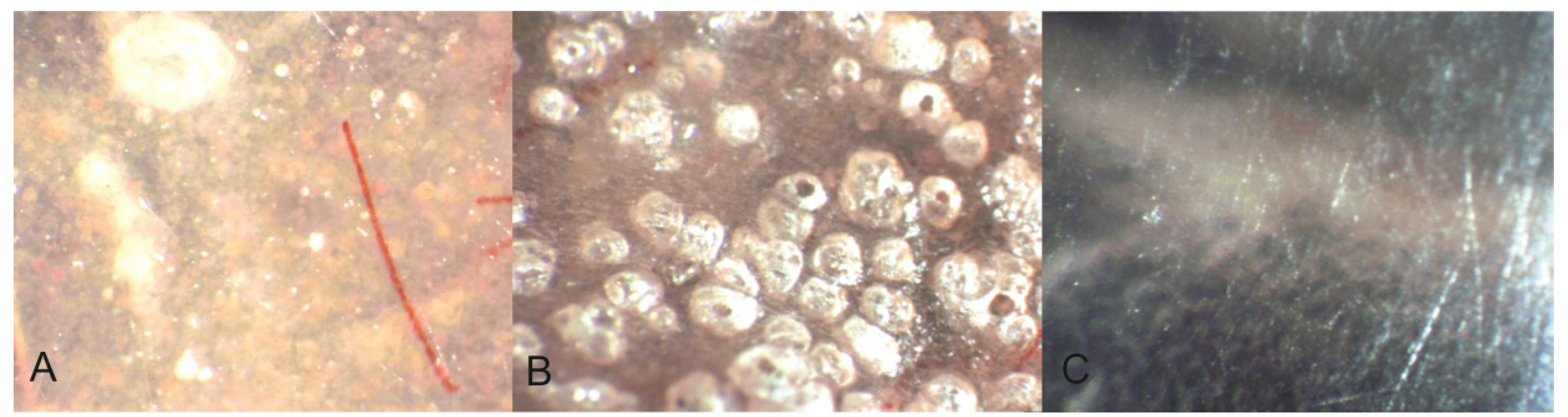 Materials 08 02887 g007