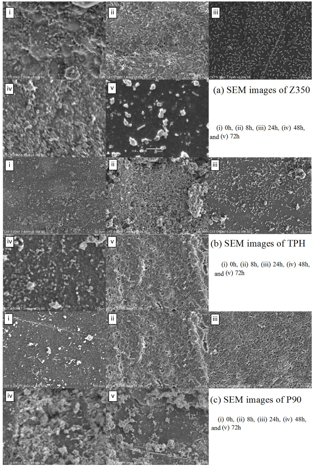 Materials 08 03221 g010 1024