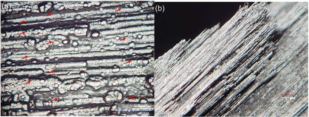 Materials 08 03316 g006 1024