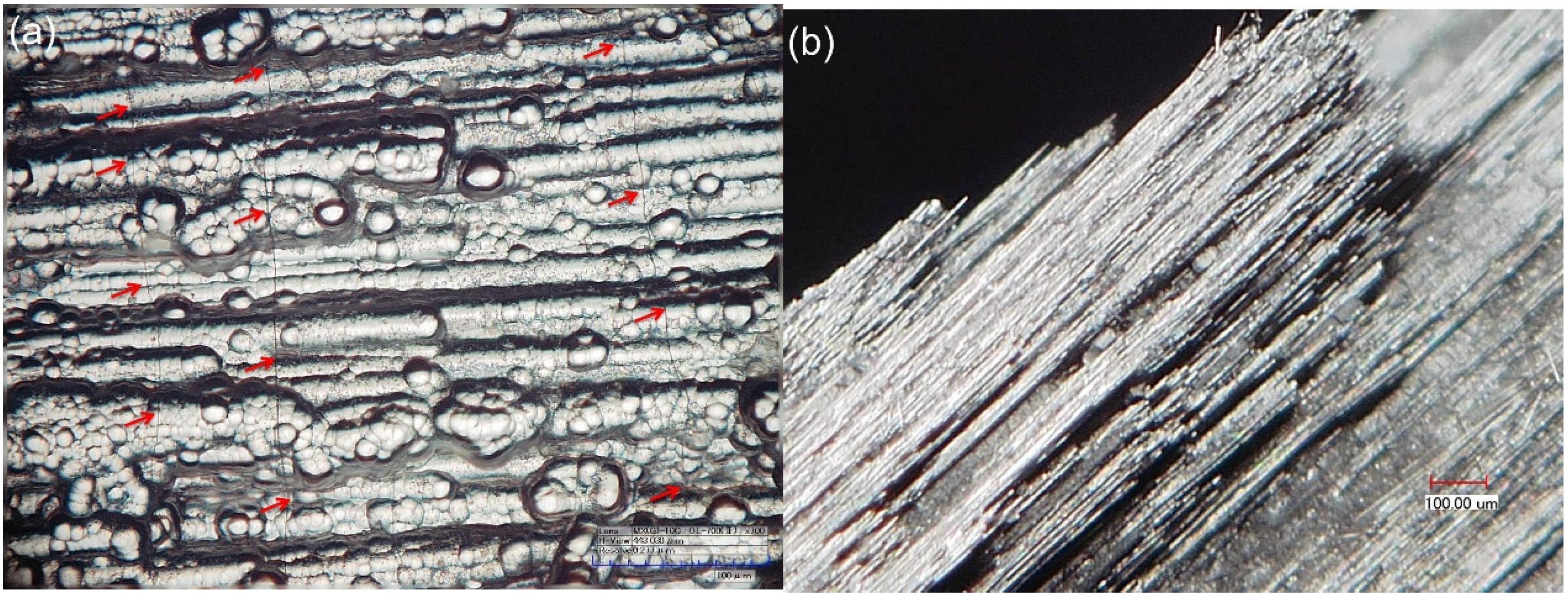 Materials 08 03316 g006