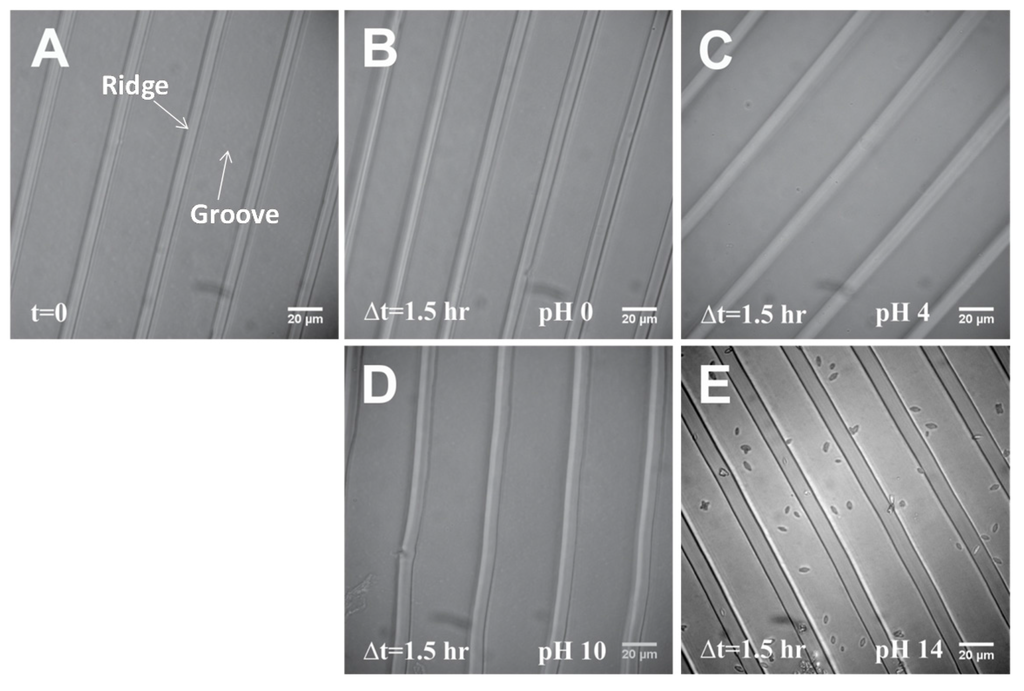 Materials 08 03508 g001 1024