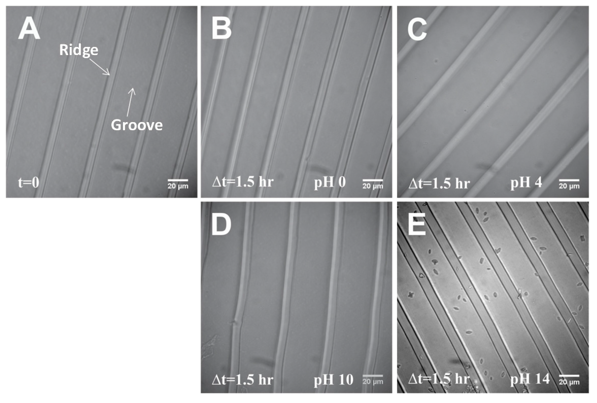 Materials 08 03508 g001