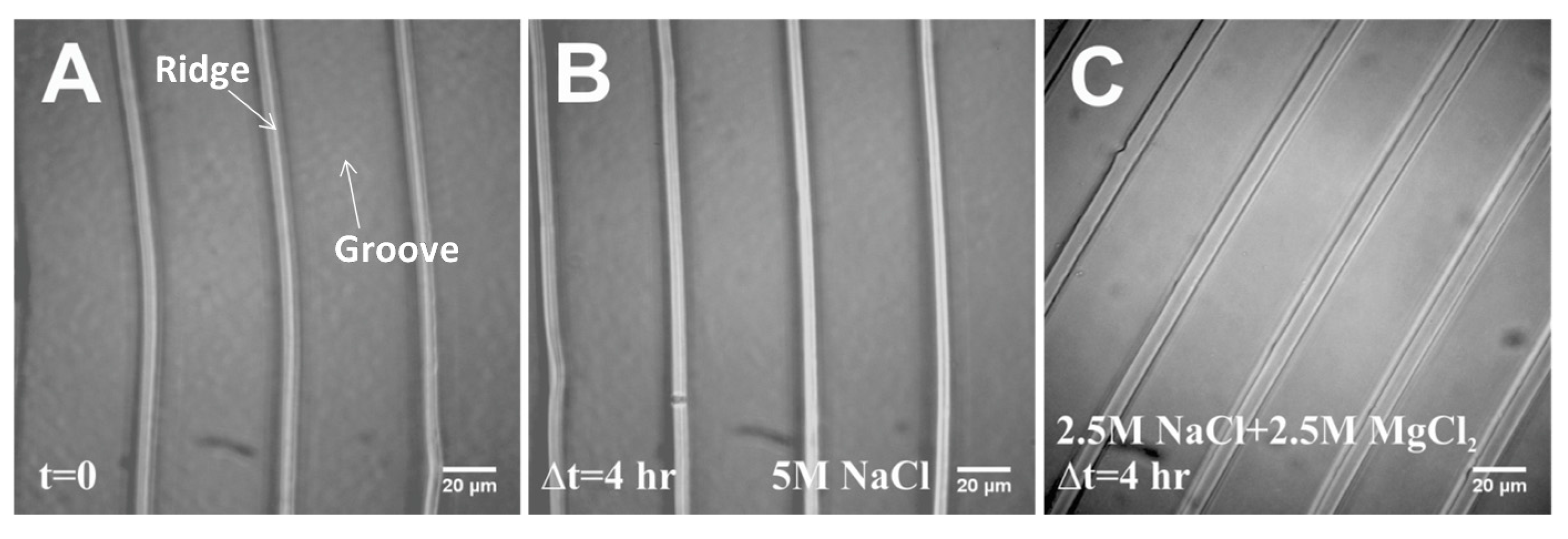 Materials 08 03508 g002