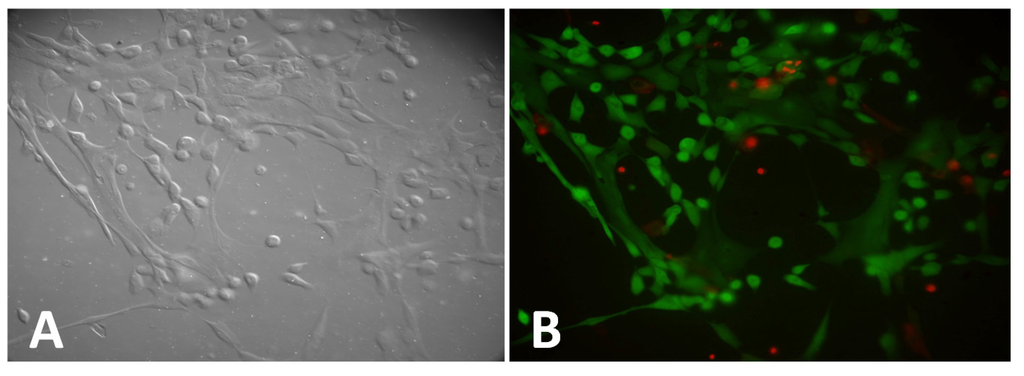 Materials 08 03508 g003 1024