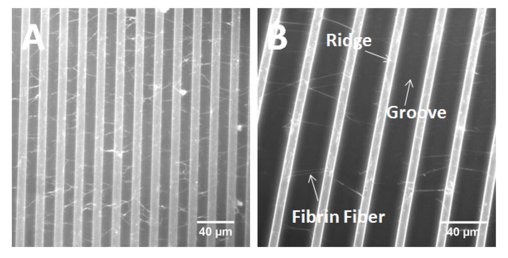 Materials 08 03508 g004 1024