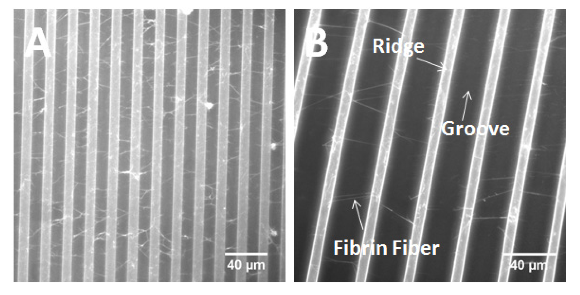 Materials 08 03508 g004