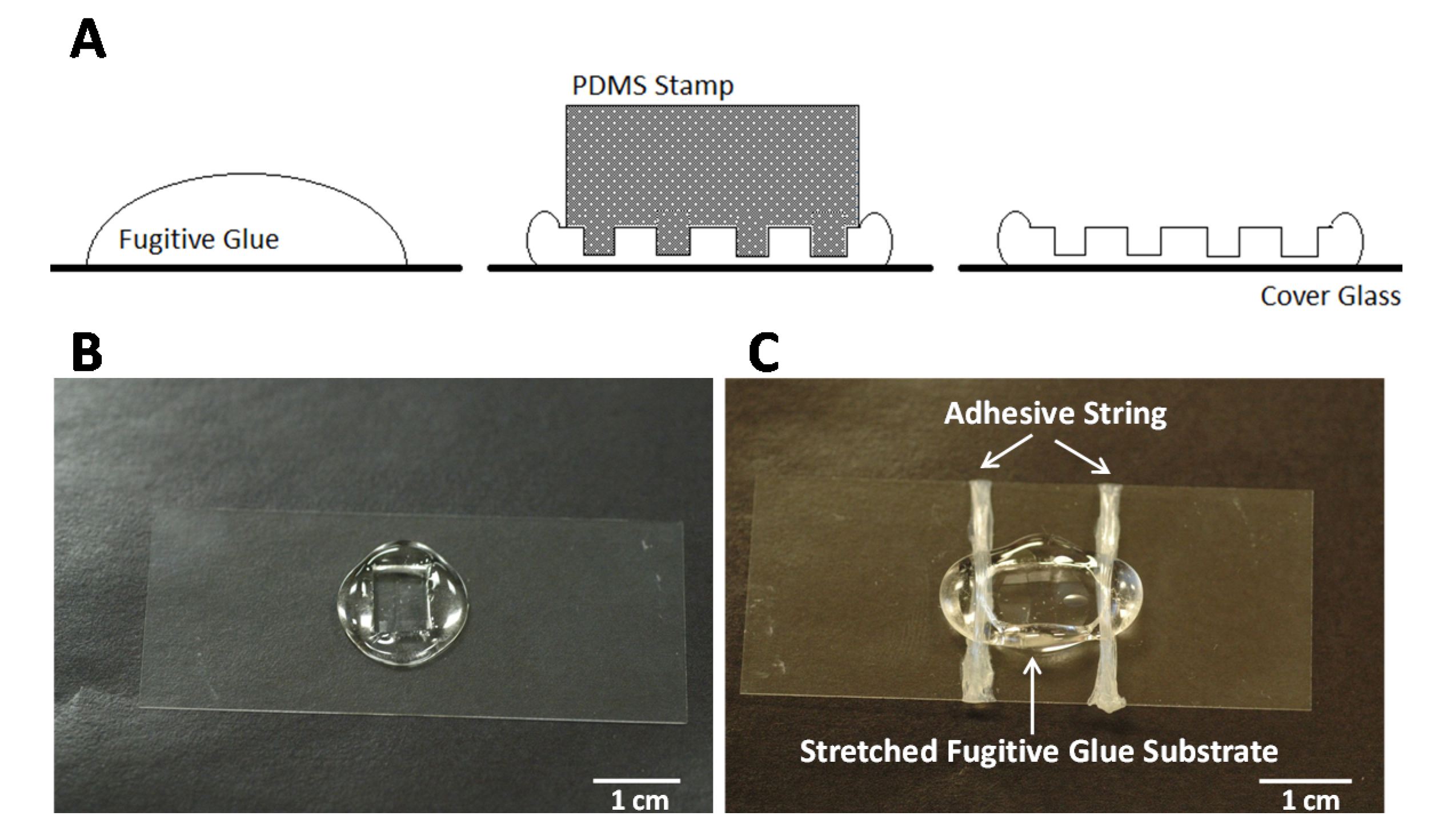 Materials 08 03508 g005