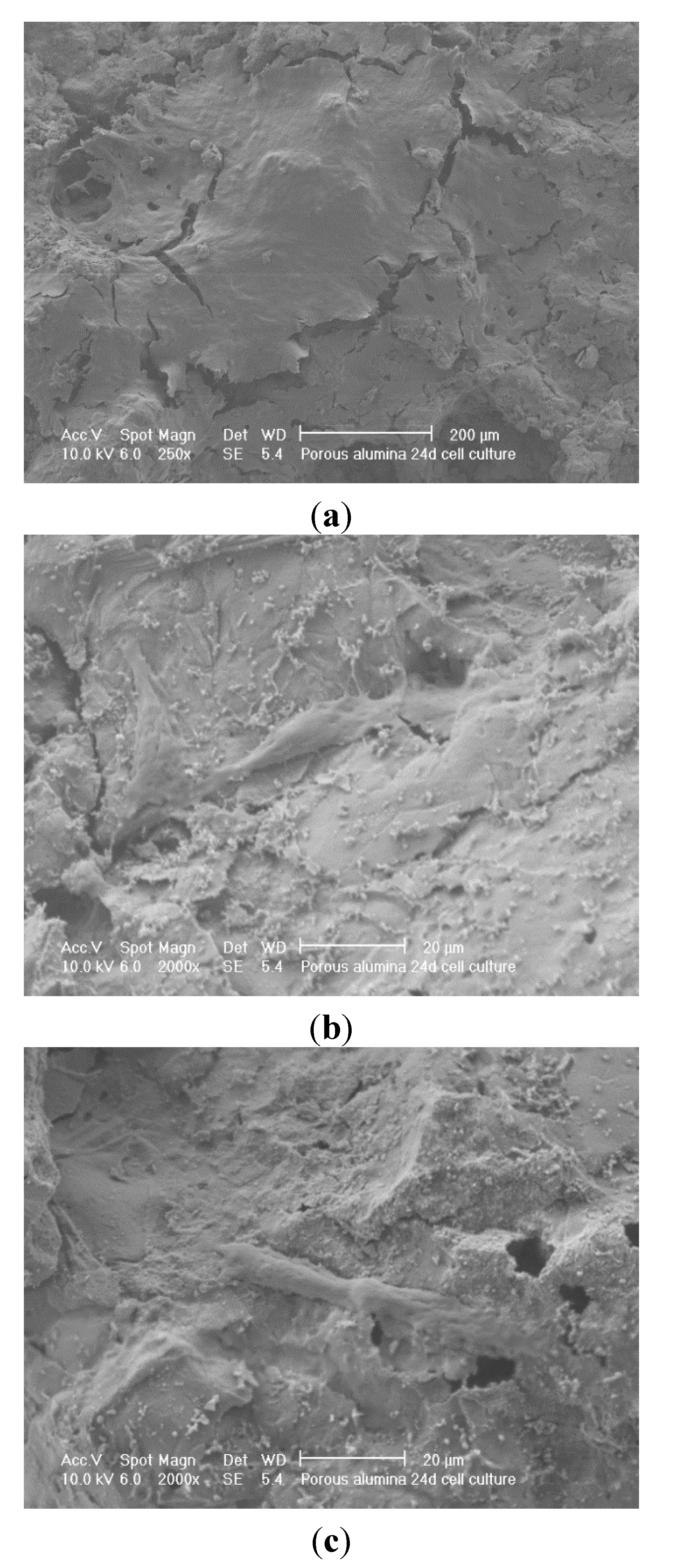 Materials 08 03584 g012