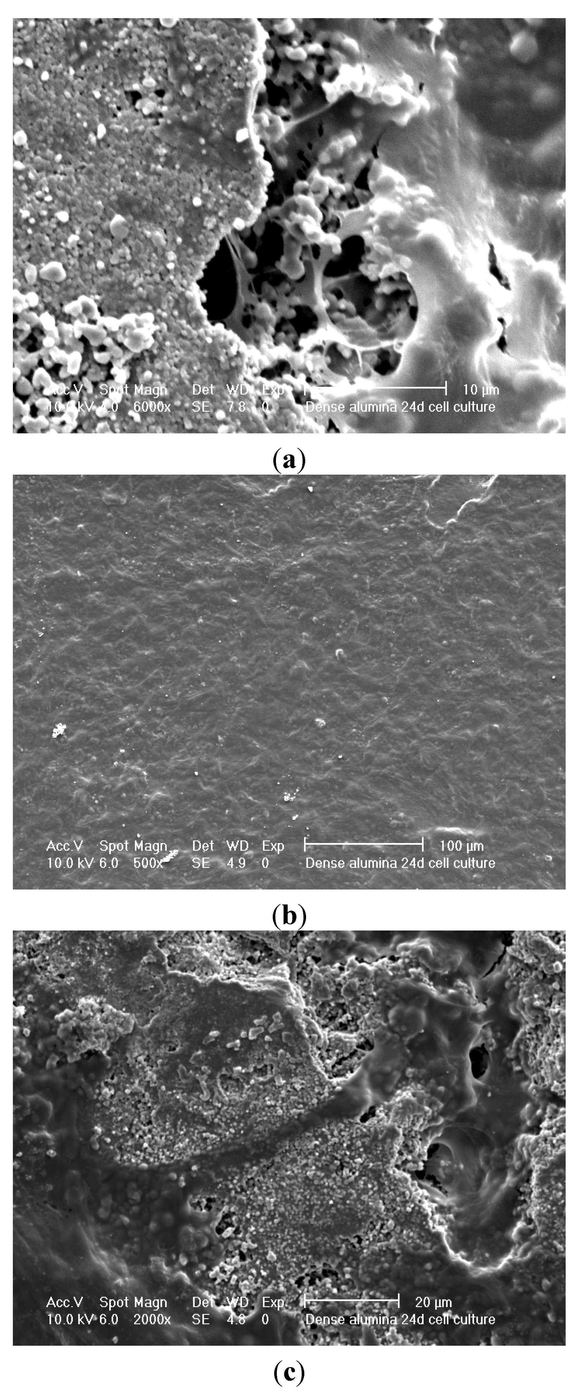 Materials 08 03584 g013