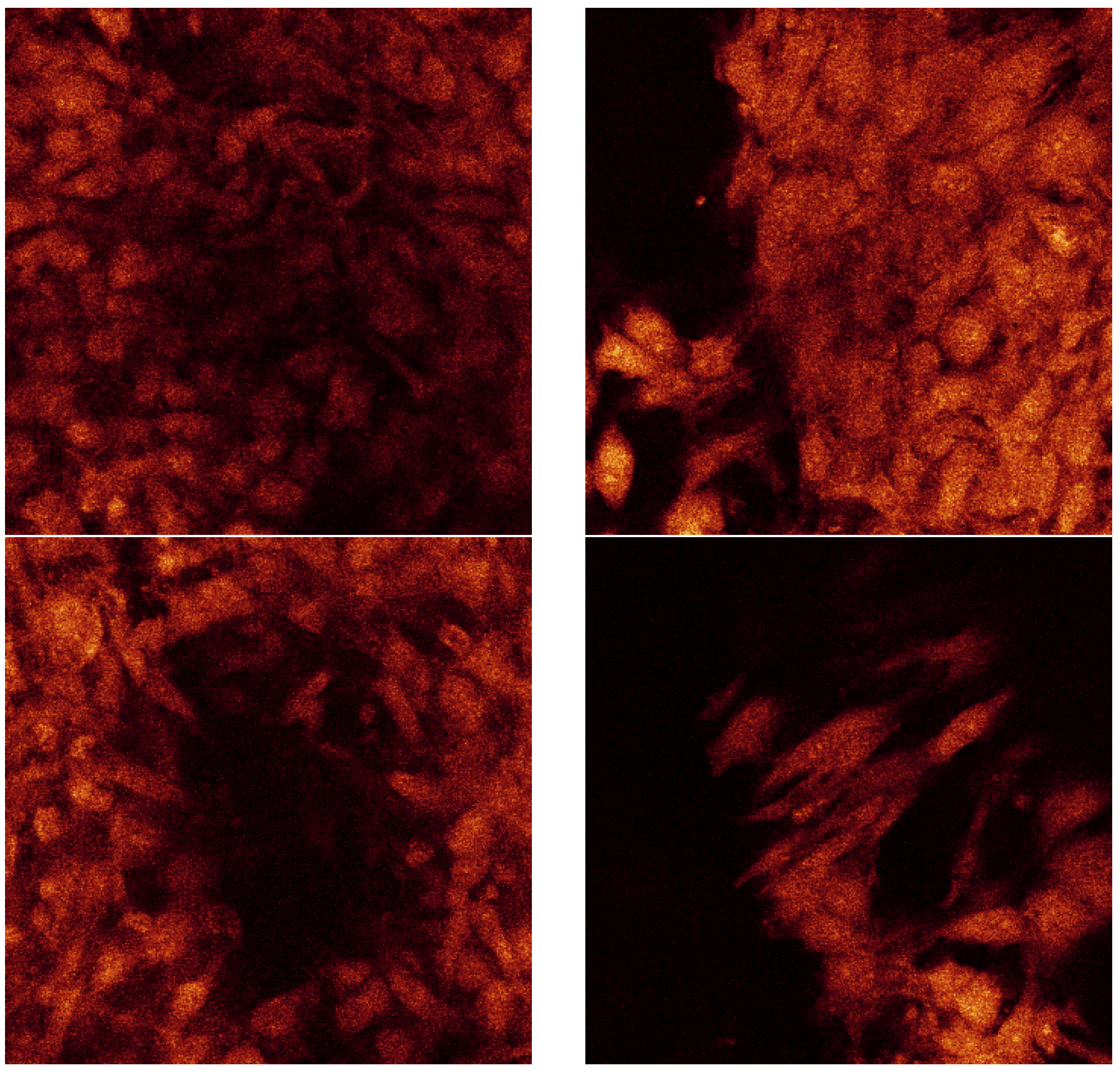 Materials 08 03584 g014b