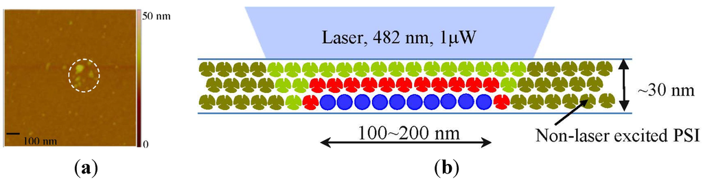 Materials 08 04332 g006 1024