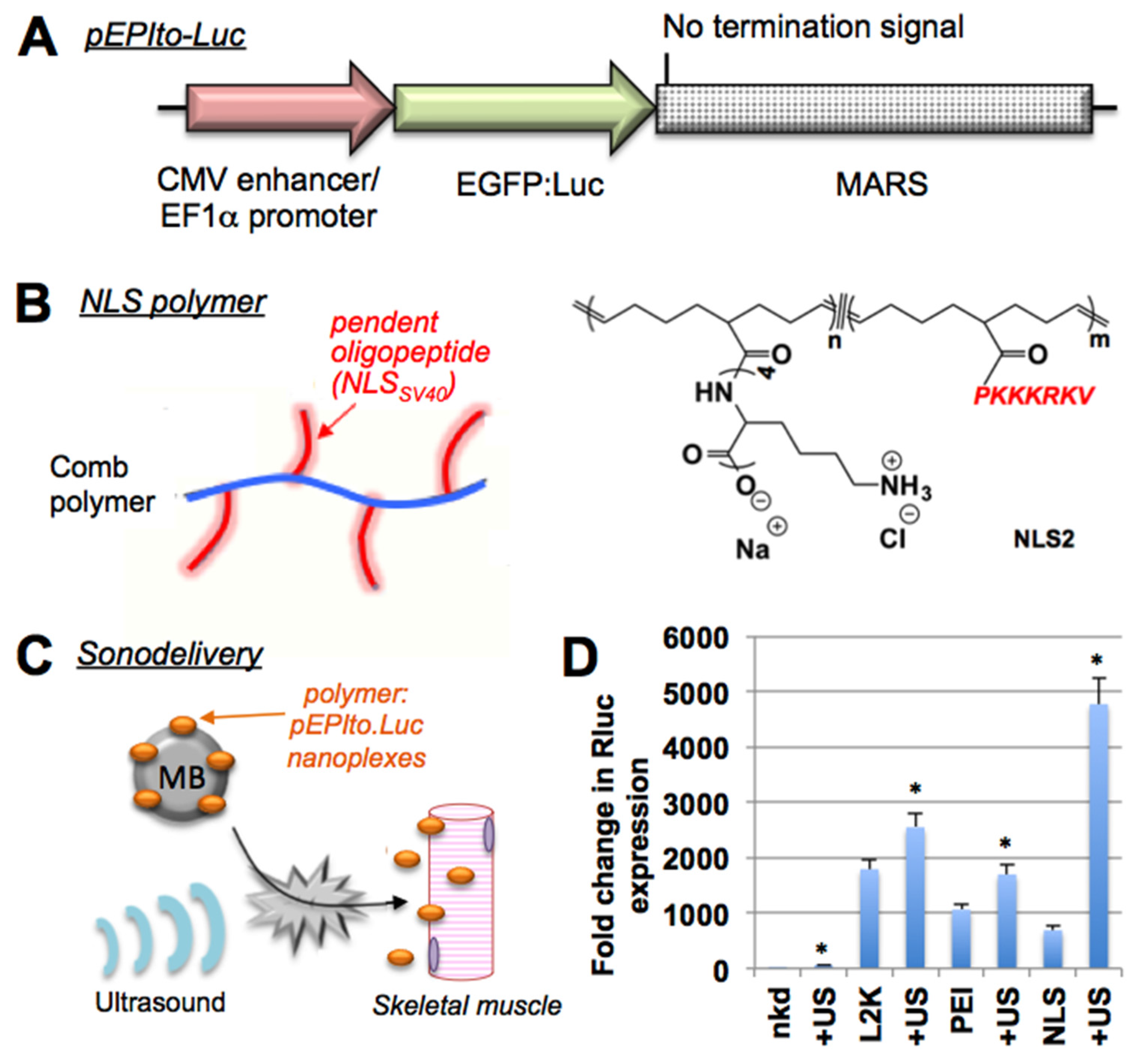 Materials 08 04608 g001