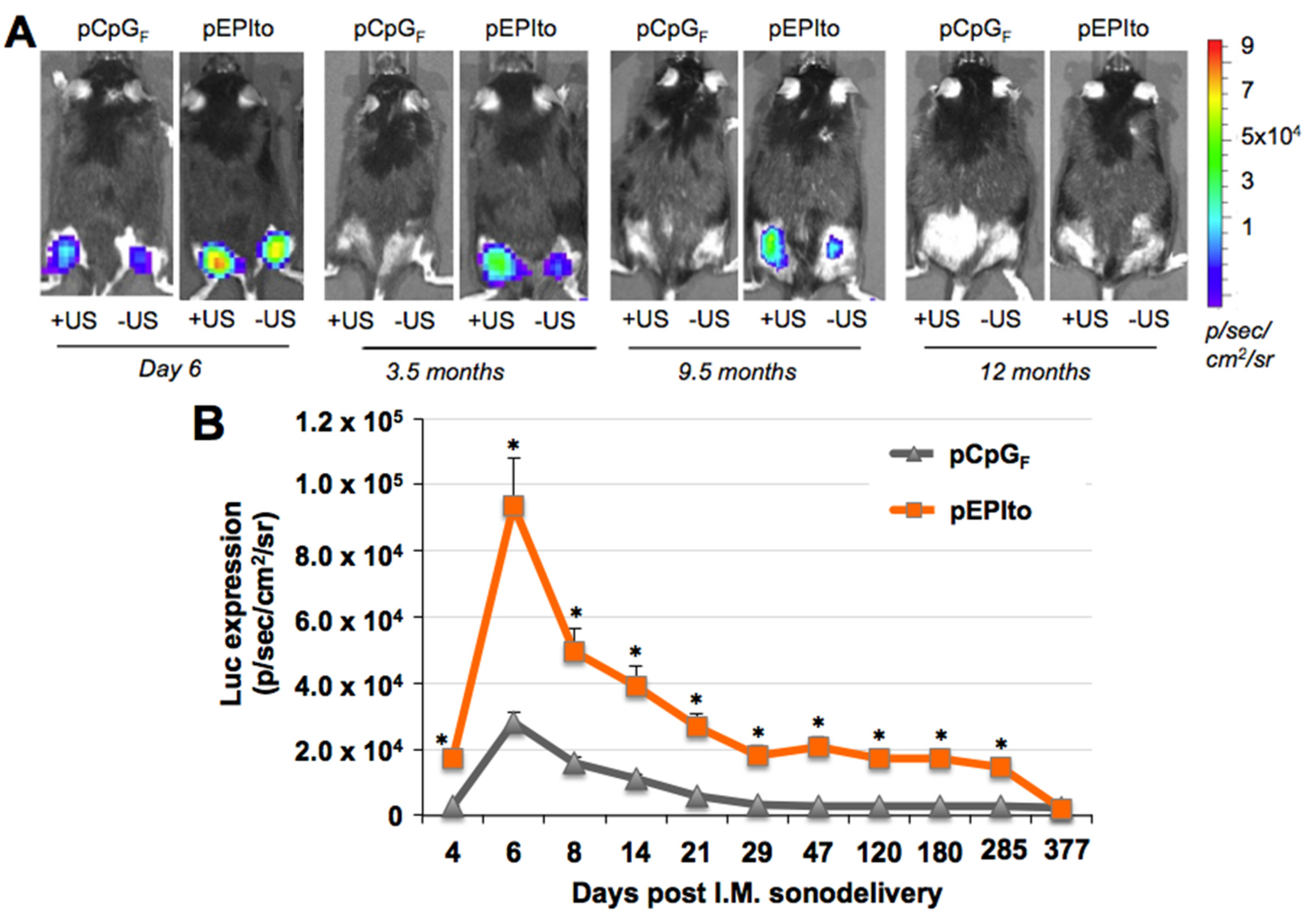 Materials 08 04608 g002