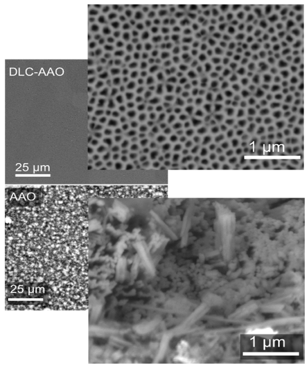 Materials 08 04992 g003 1024