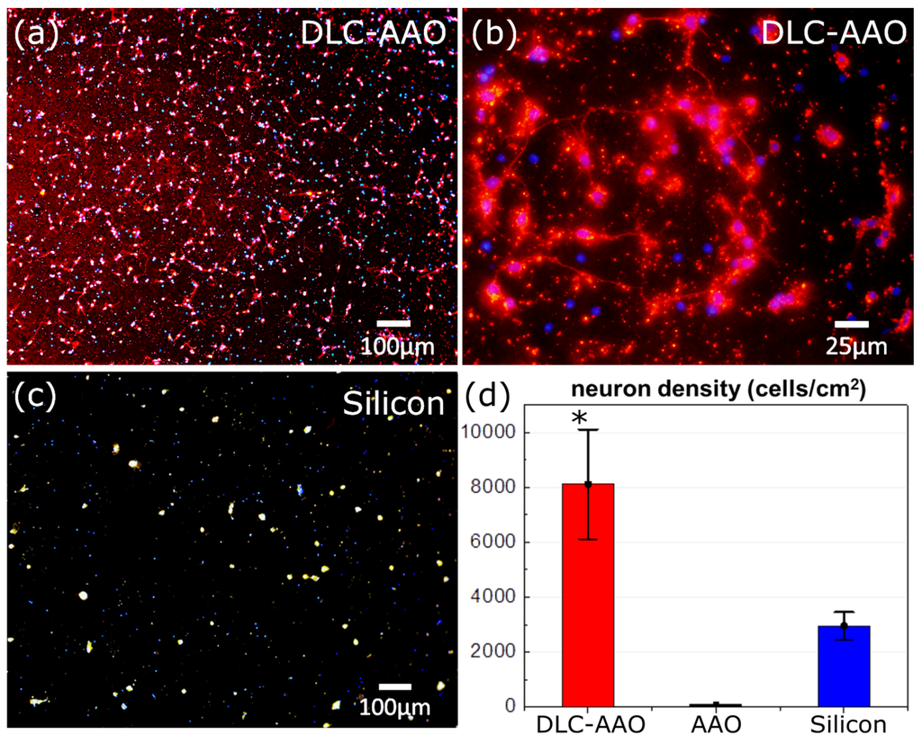 Materials 08 04992 g006 1024