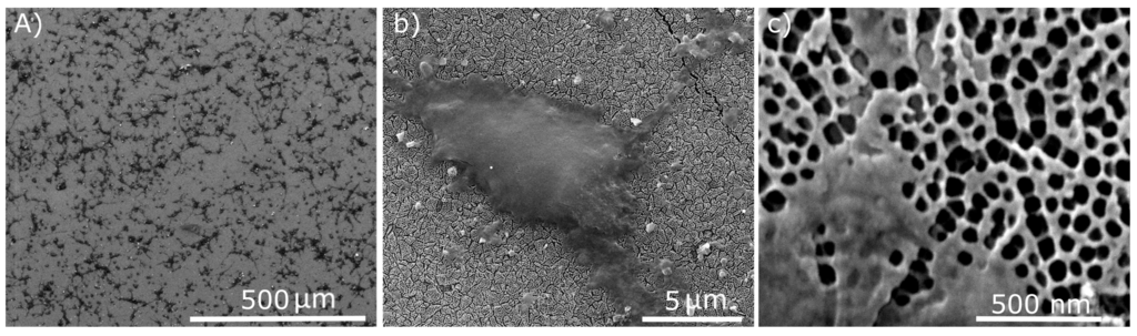 Materials 08 04992 g007 1024