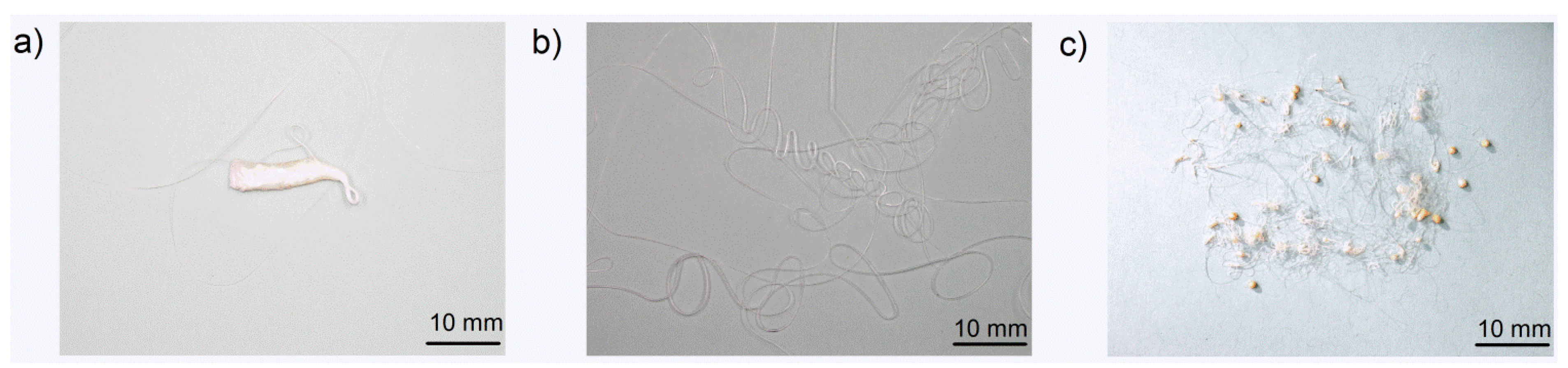 Materials 08 05267 g004